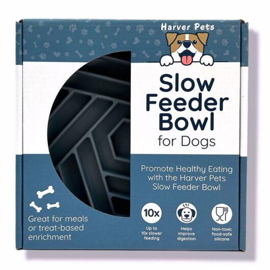 Harver Pets Slow Feeder Enrichment Bowl For Dogs Grey